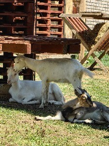 IMG_20230713_113953.jpg