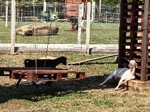 IMG_20230713_114018.jpg