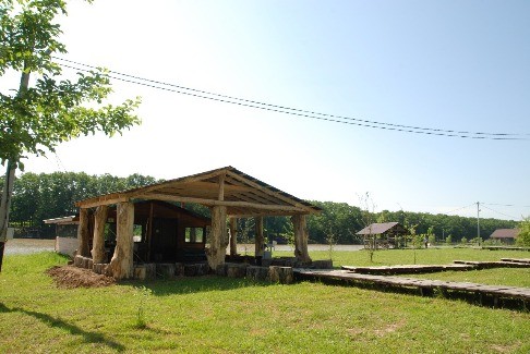 DSC_0005.JPG