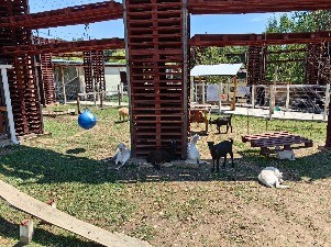 IMG_20230713_114239.jpg