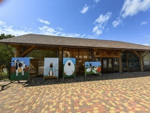 Посещение интерактивного музея для взрослых и детей "Лес Чудес"- БЕСПЛАТНО