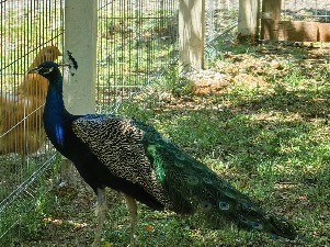 IMG_20230713_113506.jpg