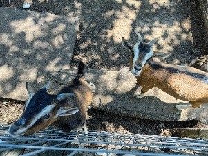 IMG_20230713_113604.jpg