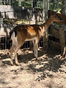 IMG_20230713_114541.jpg