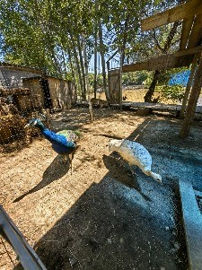 IMG_20230713_113638.jpg