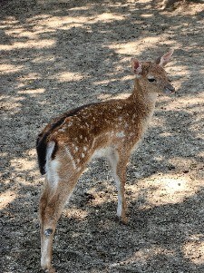 IMG_20230713_114526.jpg