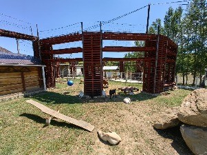 IMG_20230713_114250.jpg