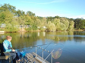 Территория