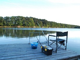 Территория