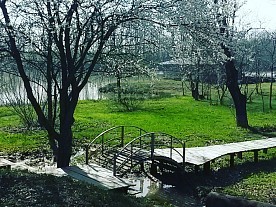 Территория