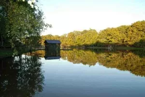 О парк-отеле