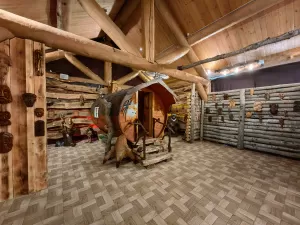 Интерактивный музей "Лес Чудес" готов к приему посетителей!