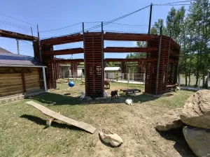 Контактная ферма готова и ждет посетителей!